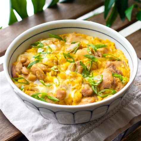 what is oyakodon.